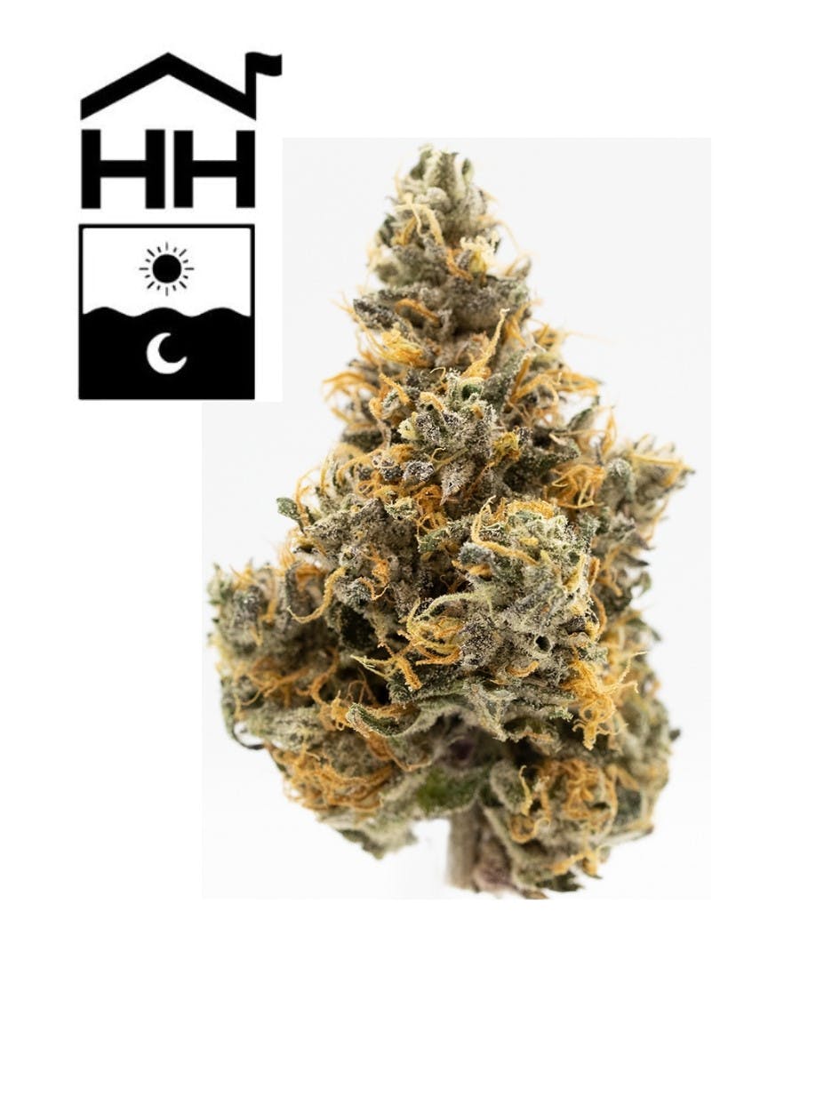 Photograph of product: Rude Presidents | Flower | 3.5g