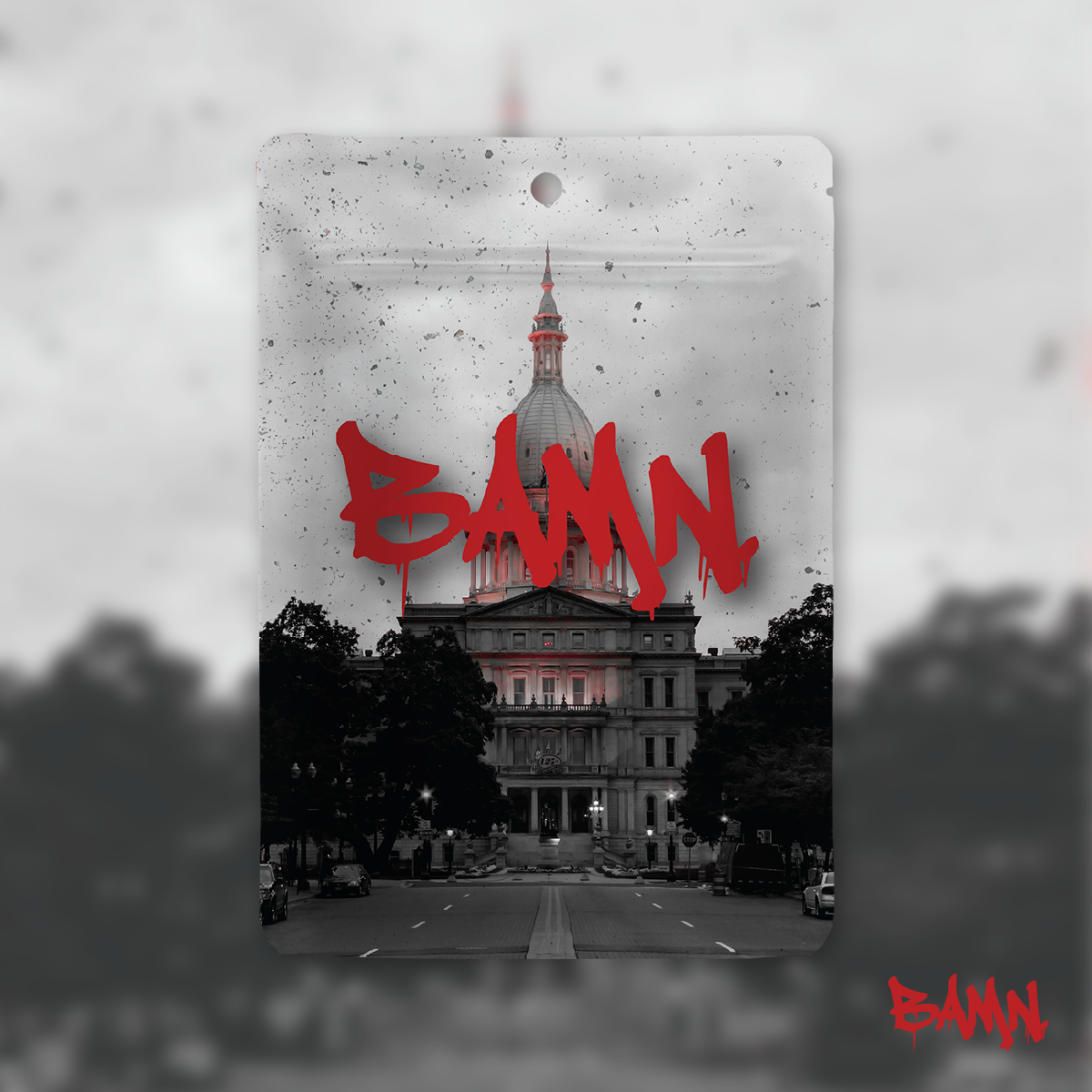 Photograph of product: Planet Z | 3.5G Bag