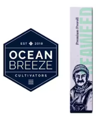 Photograph of product: RS-11 Preroll | 1g