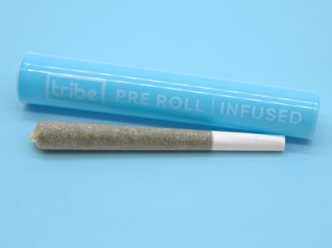 Photograph of Product: Bluntz - THCA Infused Pre Roll