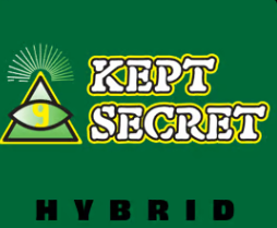 Photograph of product: Flower - 93 Boyz - Kept Secret (H) - 7g
