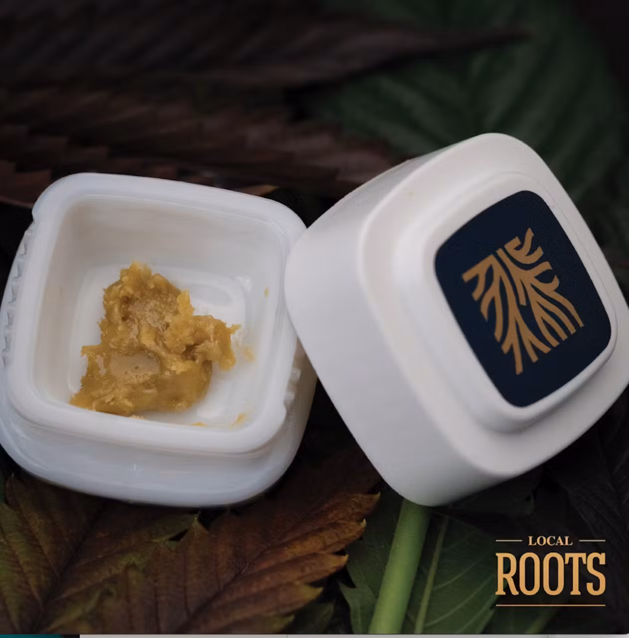 Photograph of product: Local Roots - GG4 - Live au chocolat Rosin - 1g