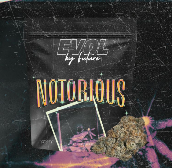 Photograph of product: Notorious #1 Smalls 14g
