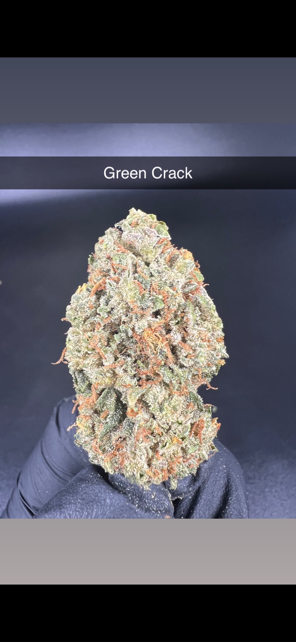 Photograph of product: Green Crack - Flower - Oui'd - 28g