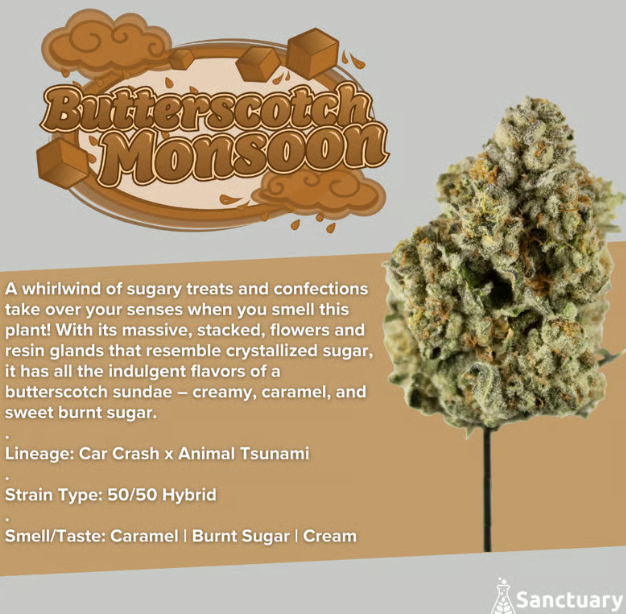 Photograph of product: Flower - Butterscotch Monsoon - 28g