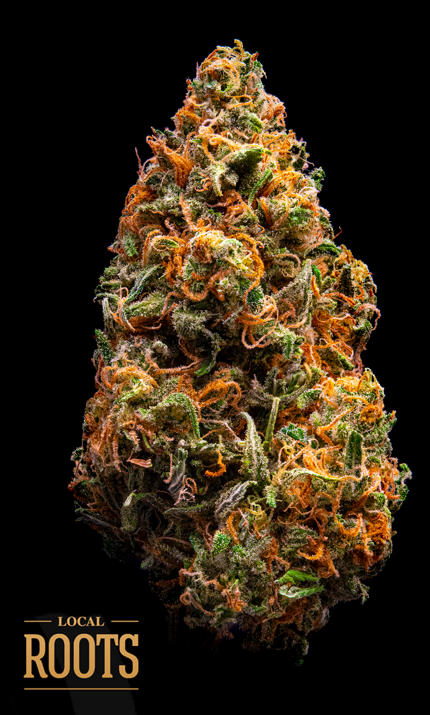 Photograph of product: Golden Goat | Local Roots | - 3.5g