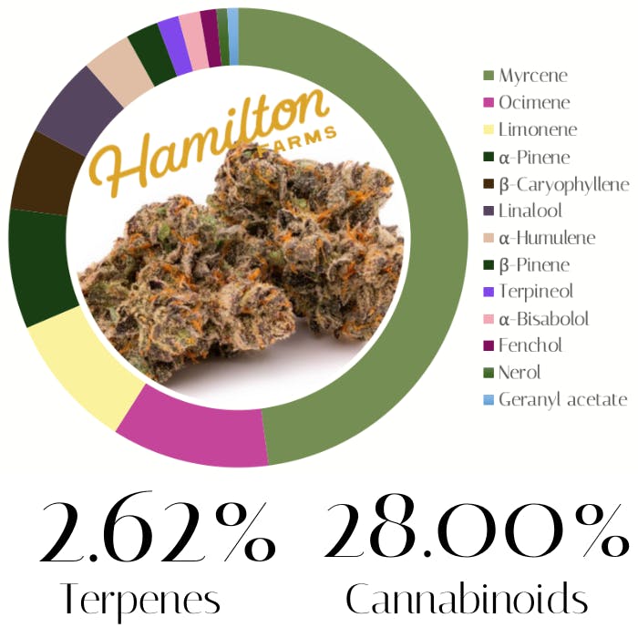 Photograph of product: Cornbread by Hamilton Farms | Pre-Rolls | 1.0g
