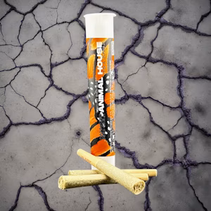 Photograph of product: Animal House | Vanilla Cream Kief Infused Pre-Roll 3pk | Oui'd
