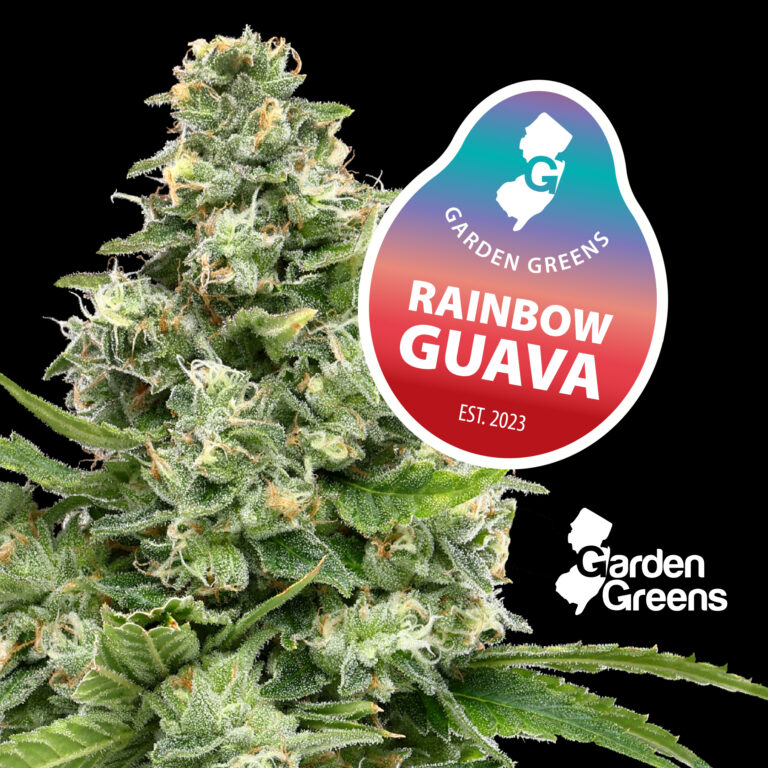 Photograph of product: Rainbow Guava -S - 3.5g