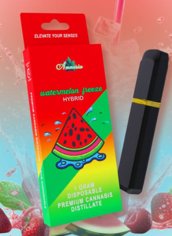 Photograph of product: Watermelon Freeze | Disposable 1g (Special)