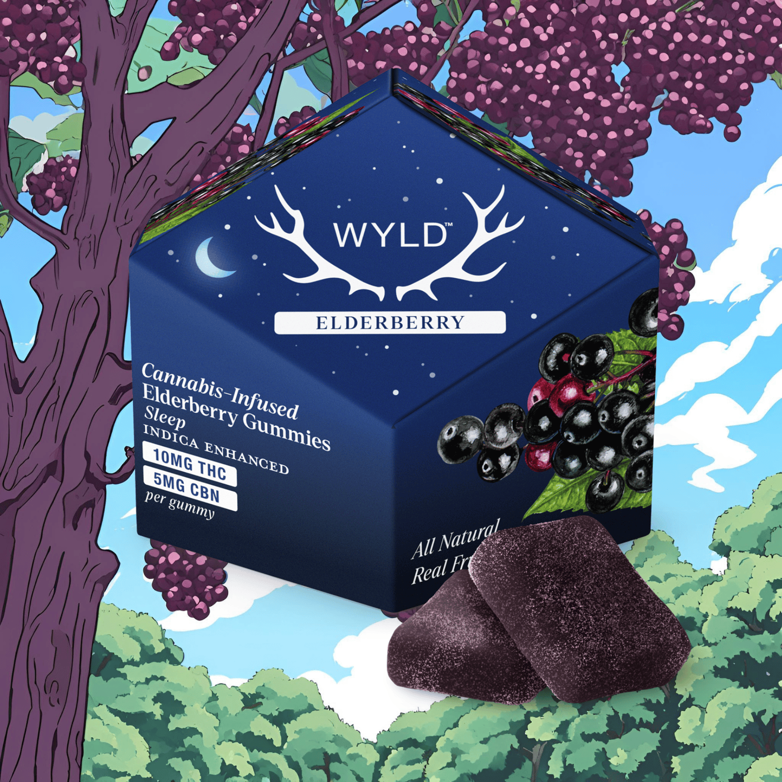 Photograph of product: Gummies | Elderberry 2:1 CBN | 10pk