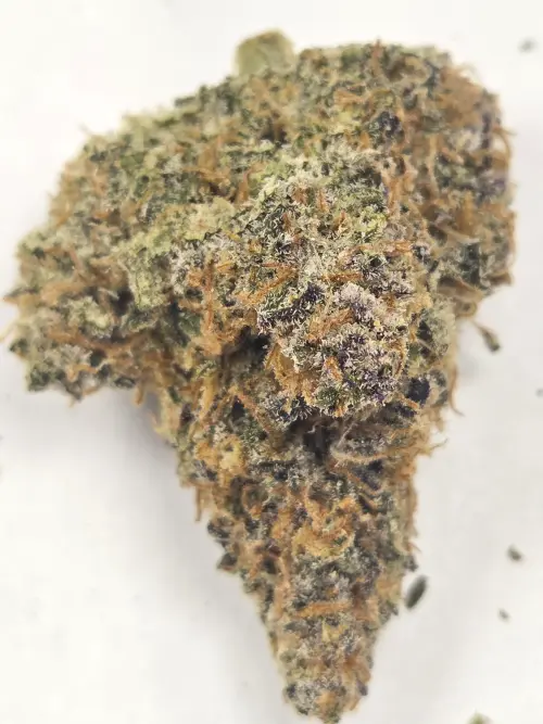 Photograph of product: OMMP Blueberry