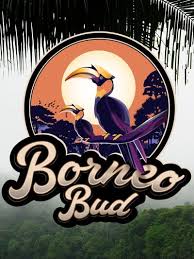 Photograph of product: Borneo Bud | 3.5g | Lemon Maraschino