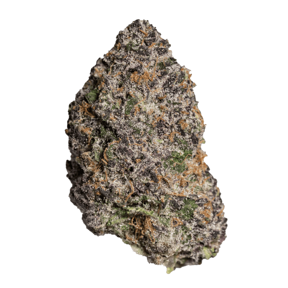 Photograph of product: | Gary Trop Runtz | Hybrid | Bud - 28g
