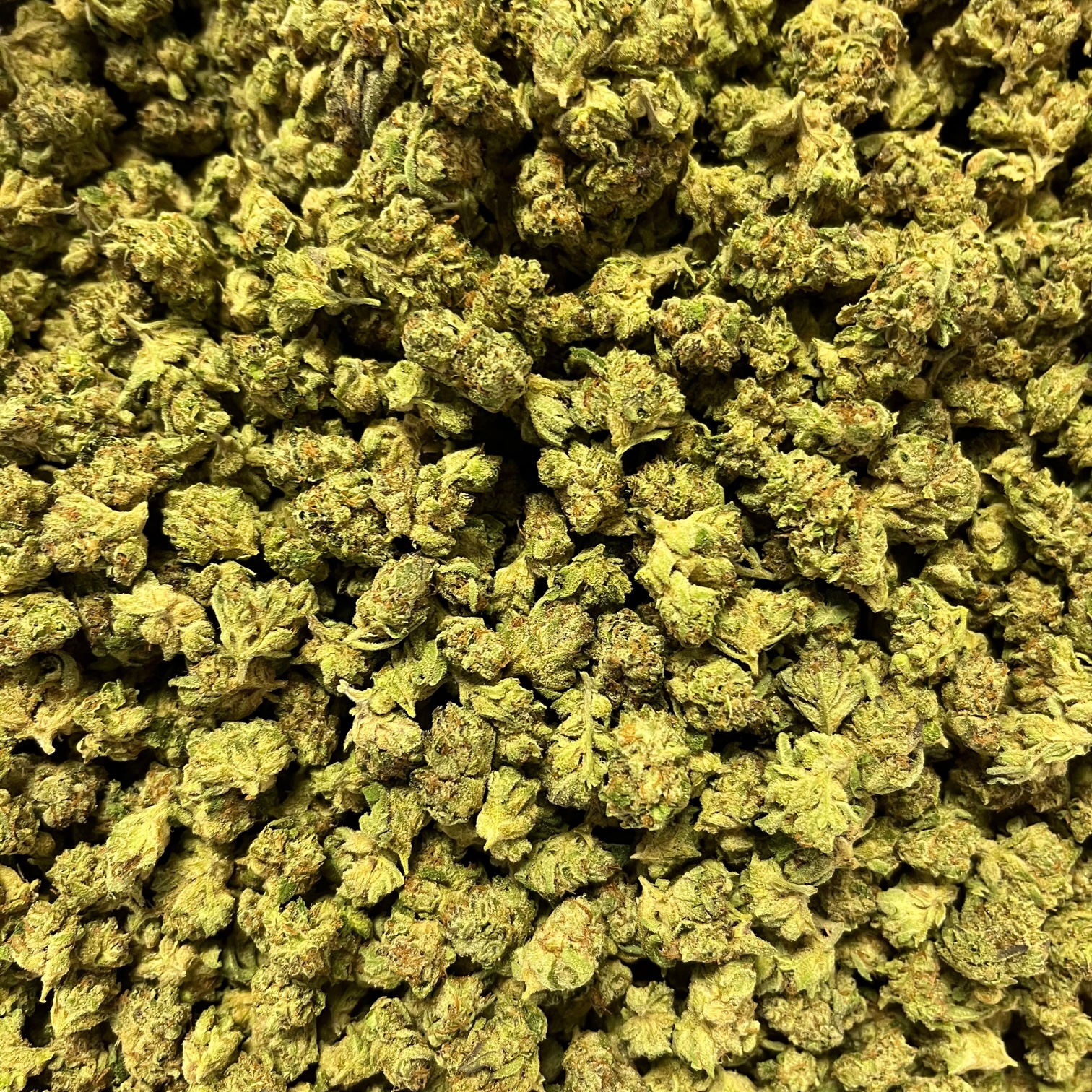 Photograph of product: Herer au chocolatplant (B) - 28g