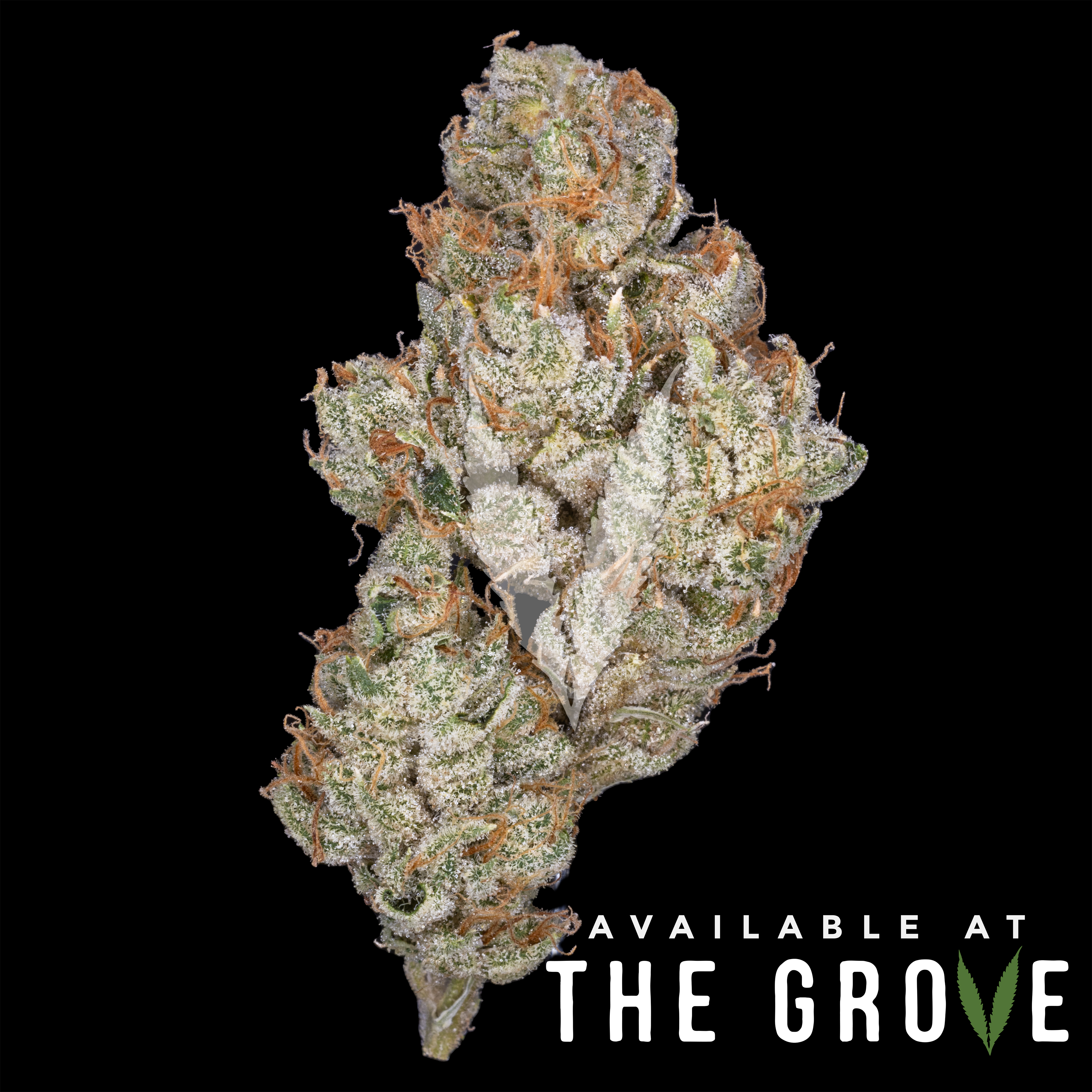 Photograph of product: CBX | Tropicanna - 3.5g