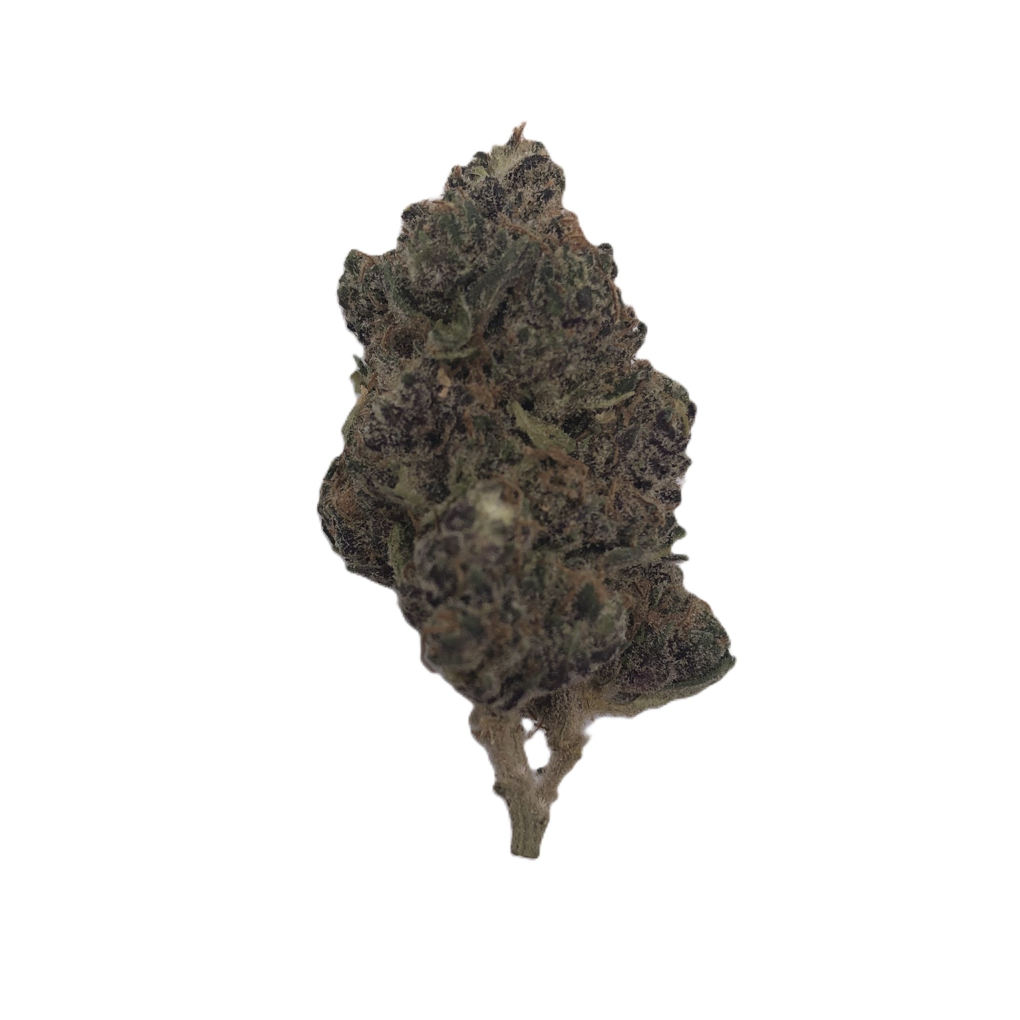 Photograph of product: Injoy Oui'd Sour Gak - 7g
