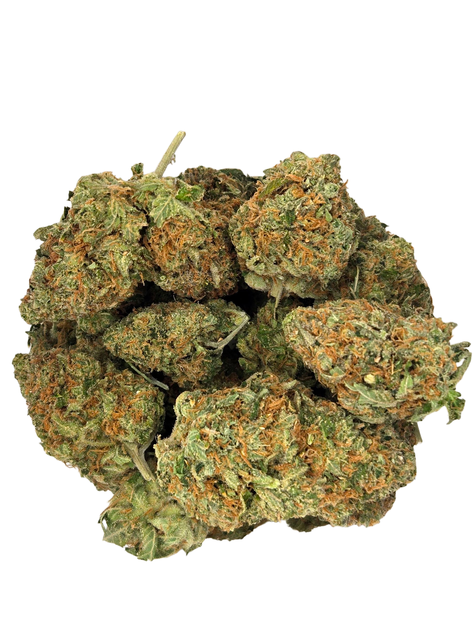 Photograph of product: Jilly Glue - 7g
