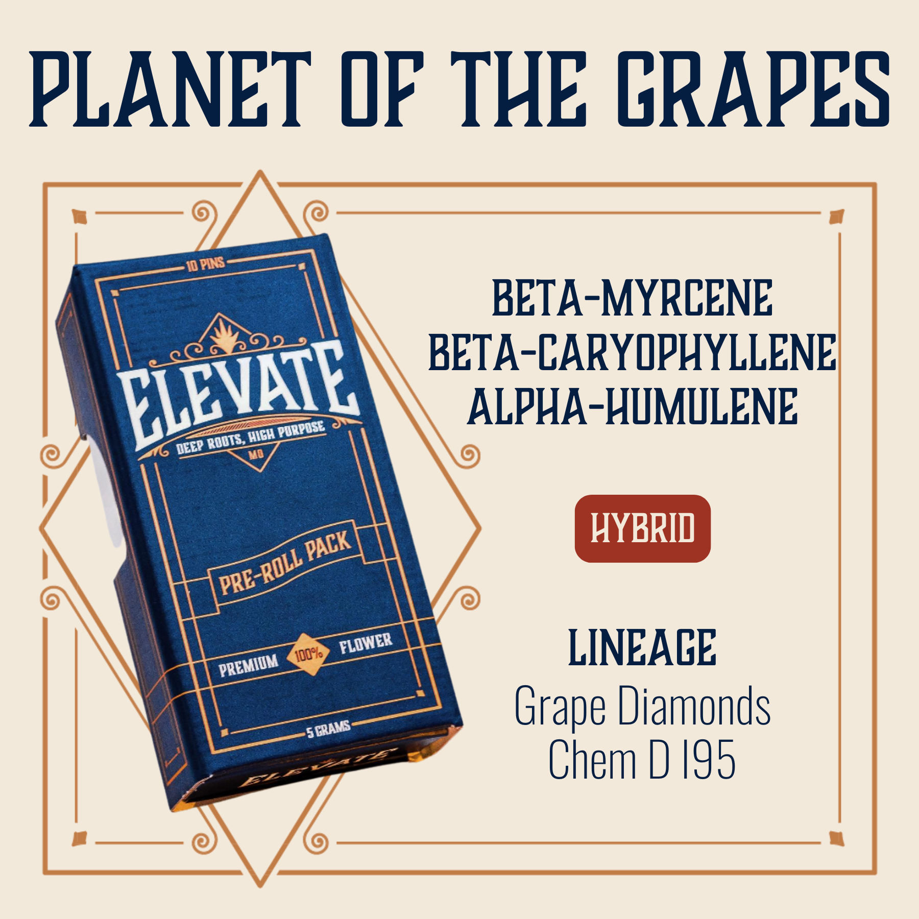 Photograph of product: Planet Of The Grapes Pins Pre-Roll | 10-pack