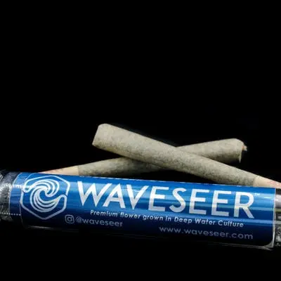 Photograph of product: Pancakes Preroll 1g