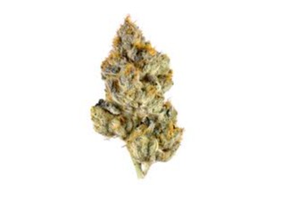 Photograph of product: OG Gardens - Lemon Cherry Gelato (20%) - 1g