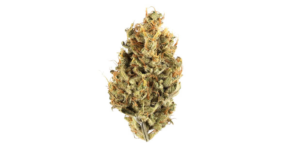 Photograph of product: Pruf Cultivar Cherry Grapefruit - 7g