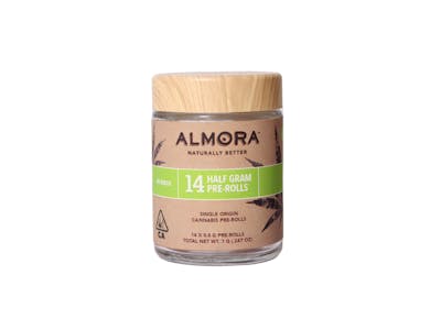 Photograph of product: Almora Farm - Governmint Oasis - - PreRoll - 14pk