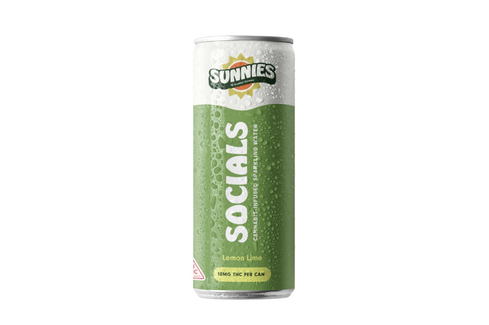 Photograph of product: Lemon Lime Infused Seltzer
