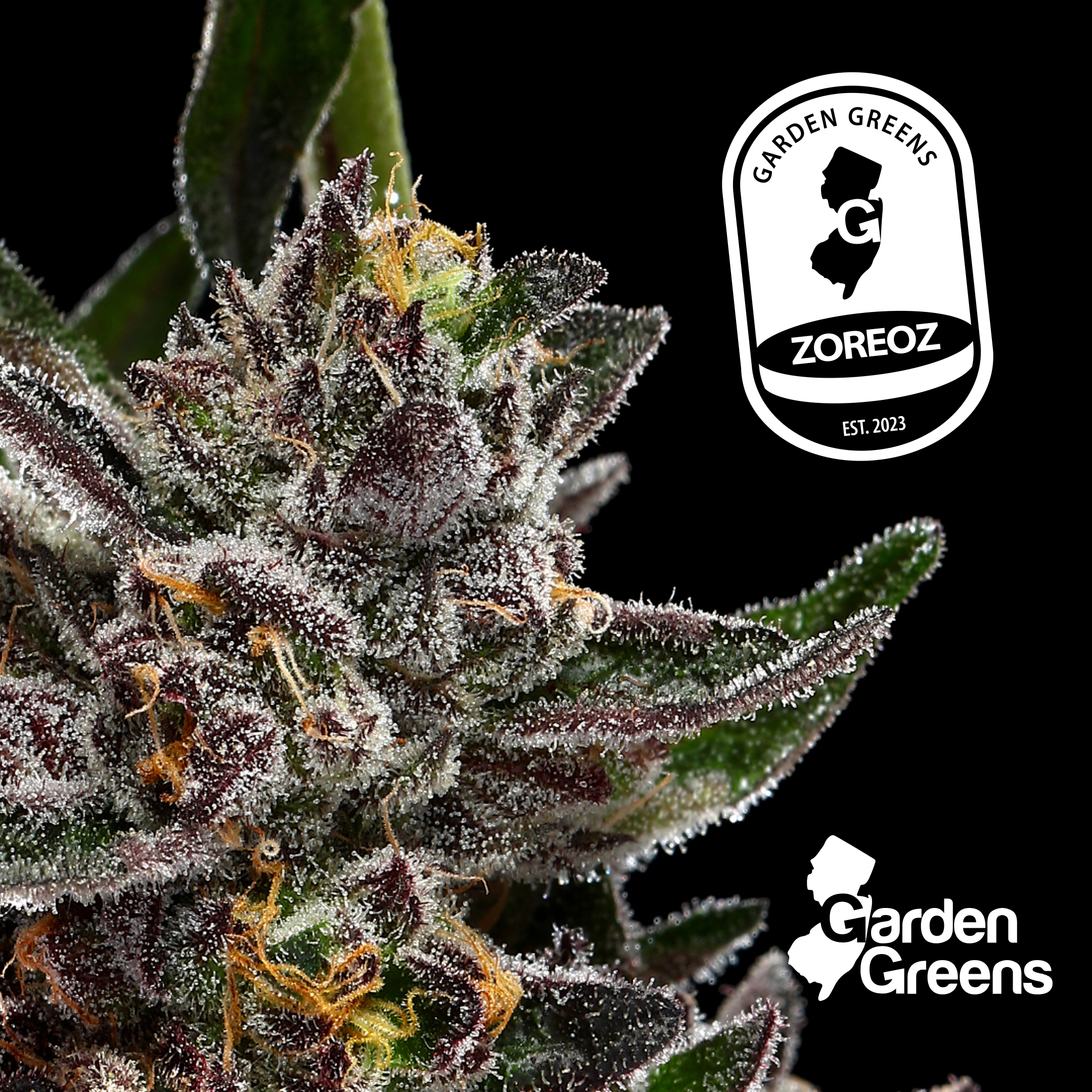 Photograph of product: Garden Greens | Zoreoz | 3.5g (Hybrid)