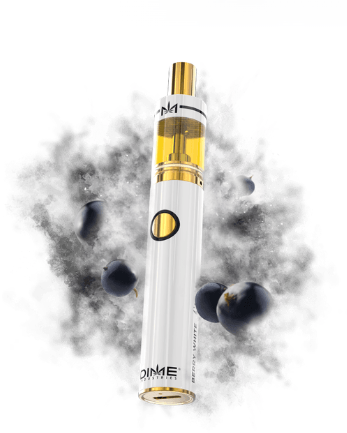 Photograph of product: Berry White Disposable Vape
