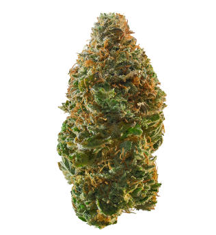 Photograph of product: Flower | Trainwreck - 28g