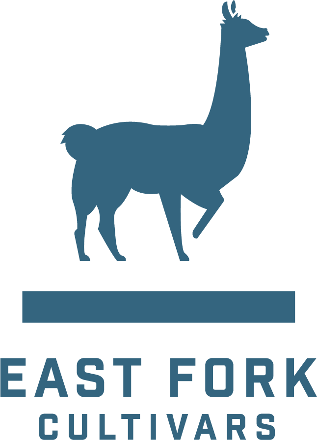 Photograph of product: East Fork - Sour Lemon Kush (CREATE) - Preroll 7pk