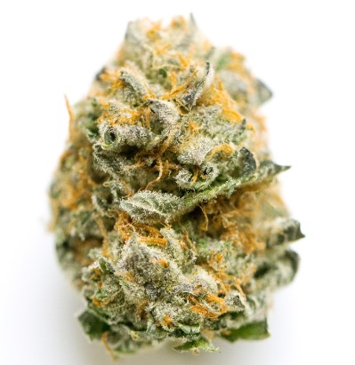 Photograph of product: Grease Monkey Flower - 3.5g