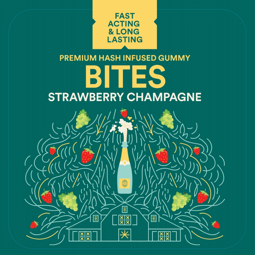 Photograph of product: Strawberry Champagne au chocolat Rosin Gummies 20pk | 100mg