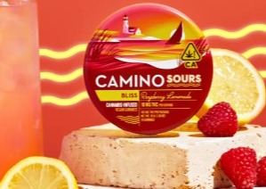 Photograph of product: Raspberry Lemonade Sours Gummies | 20 Pack