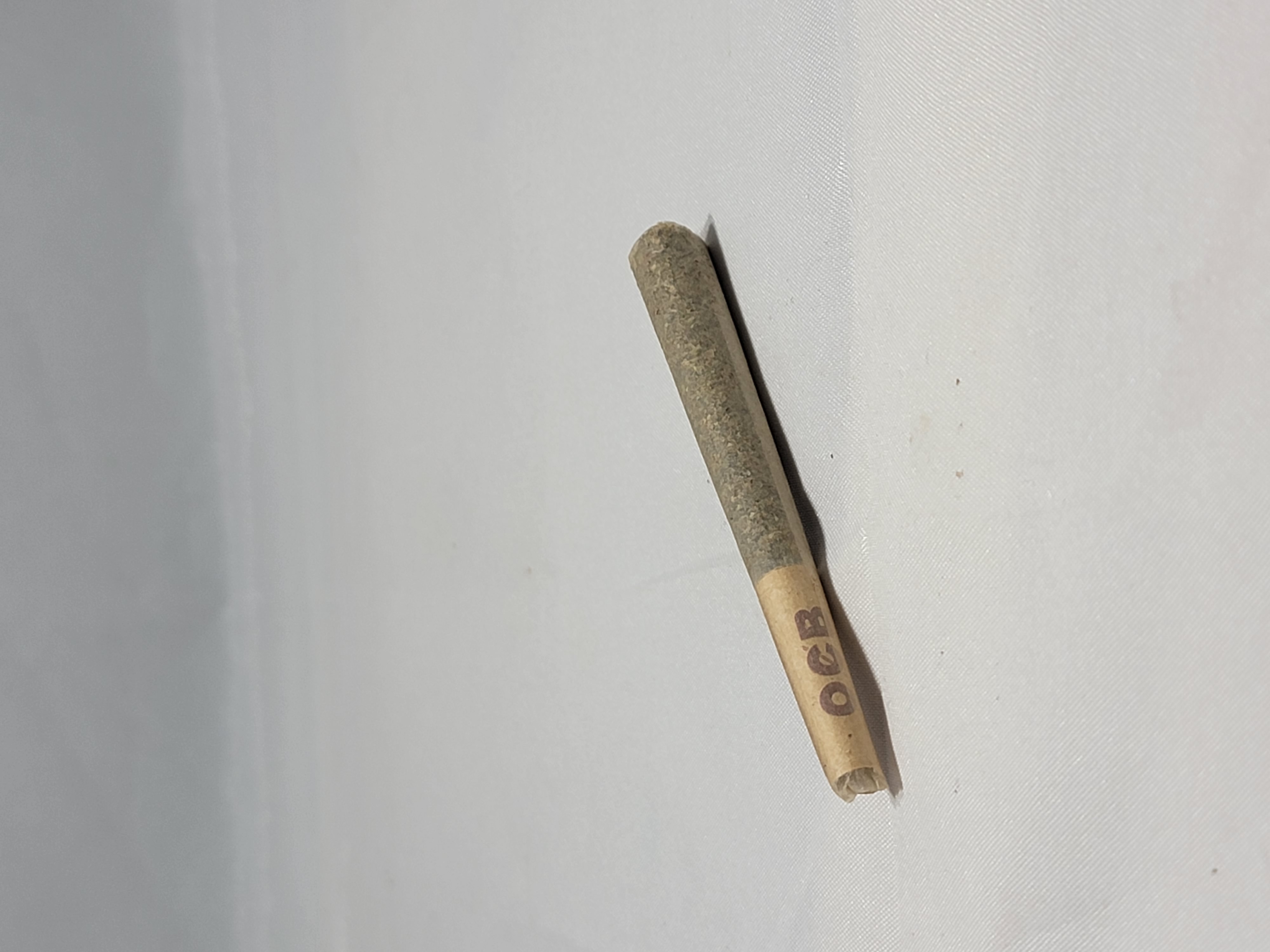 Photograph of product: Preroll- Trop Punch (Cone)