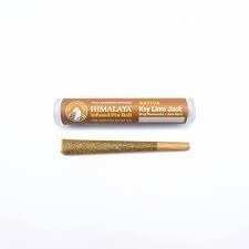 Photograph of product: KEY LIME JACK INFUSED PREROLL