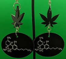 Photograph of product: Earrings - $35 - Two Stoned Betties