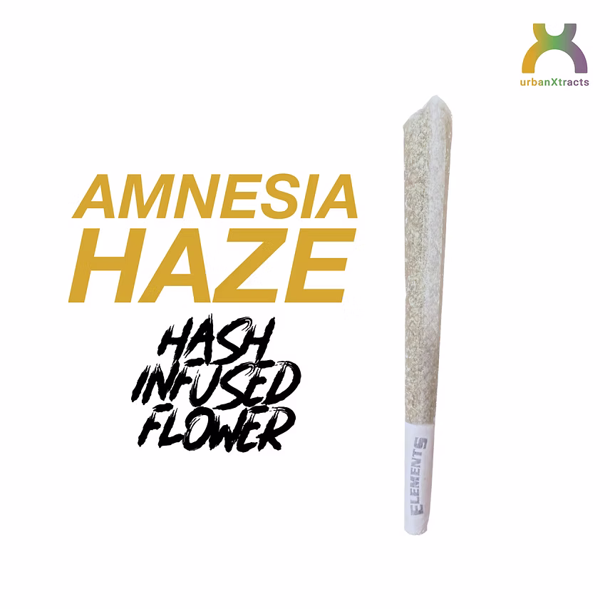 Photograph of product: URBANXTRACTS Amnesia Haze 1.2g au chocolat Infused Pre-Roll