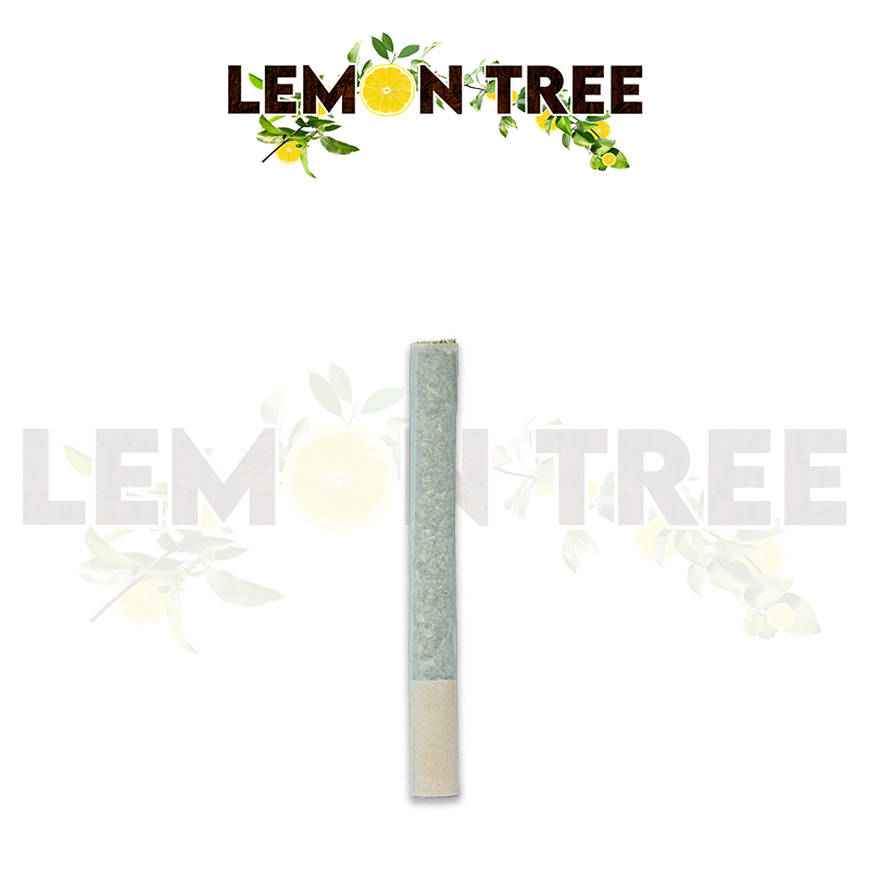 Photograph of product: Lemon Tree Pre-roll