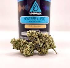 Photograph of product: LoudPack - Monterey Fog