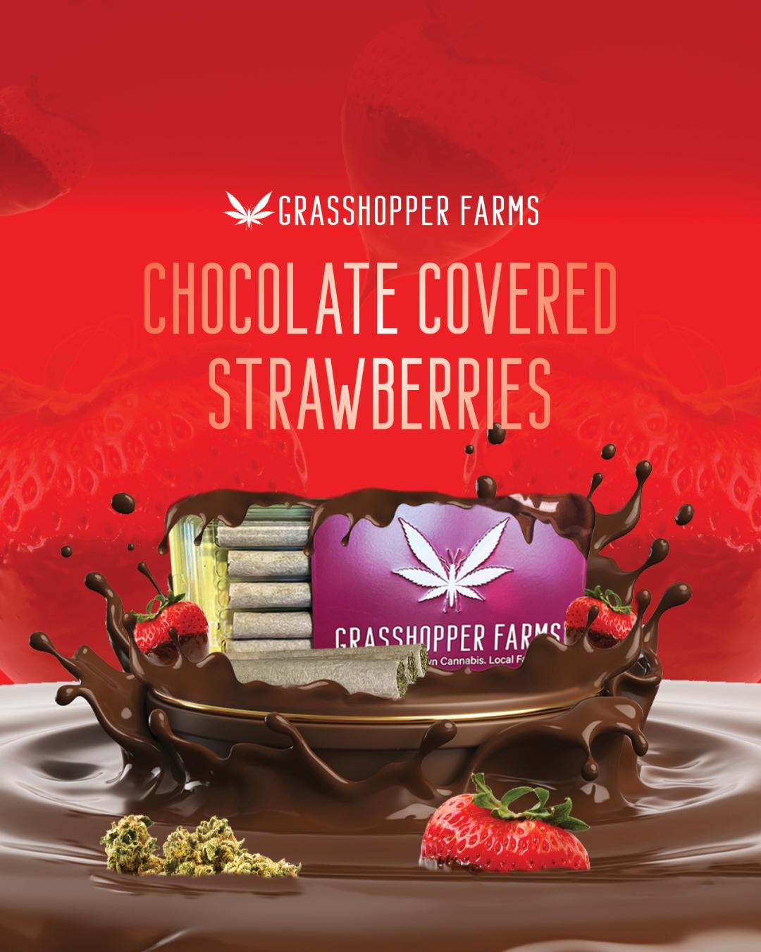 Photograph of product: Chocolate Covered Strawberry | 1G Infused Preroll