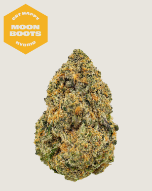 Photograph of product: Moon Boots - Tales & Travels - Revolution - 3.55g