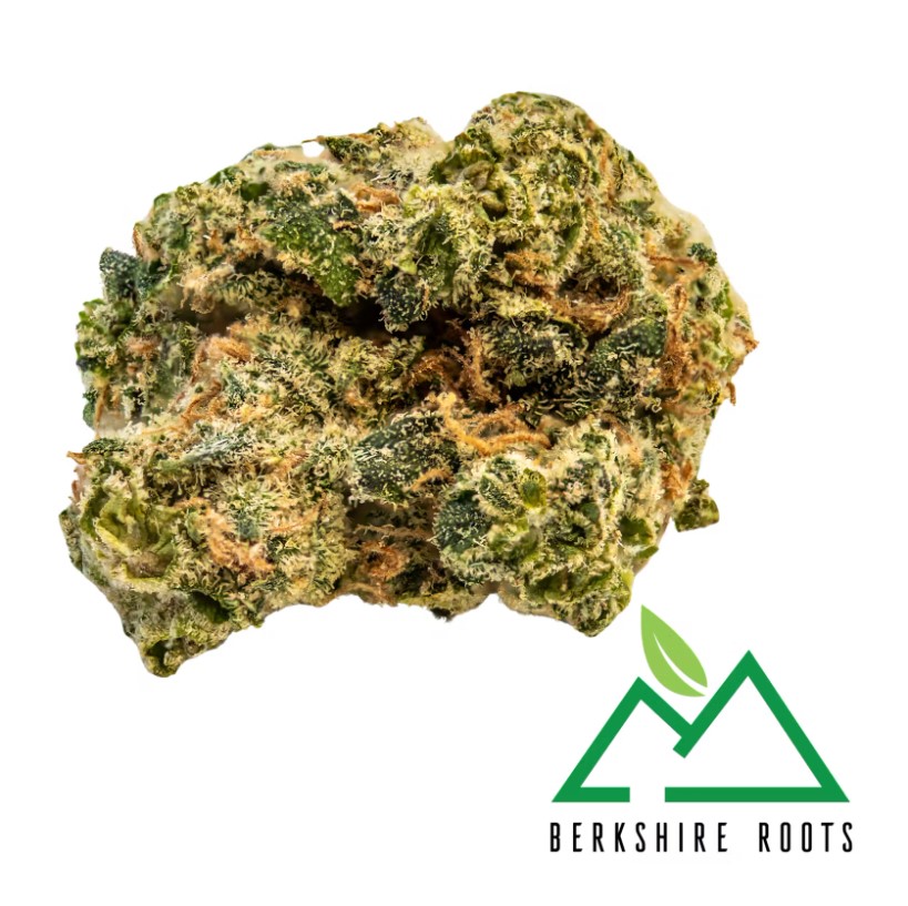 Photograph of product: Snowdog | 28g