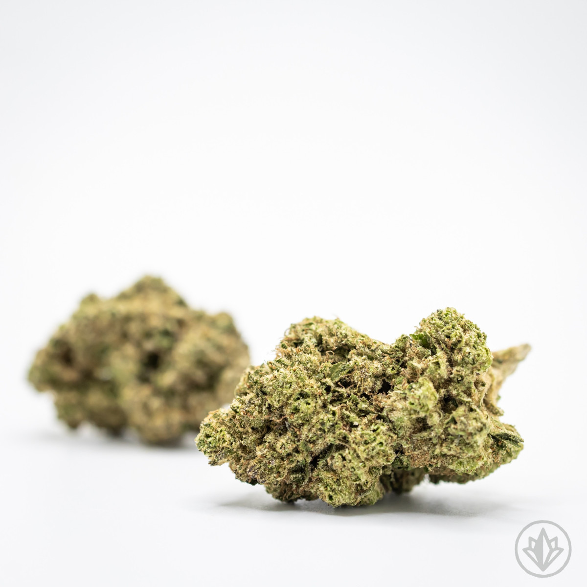 Photograph of product: Flower - Cherry Poison - 14g