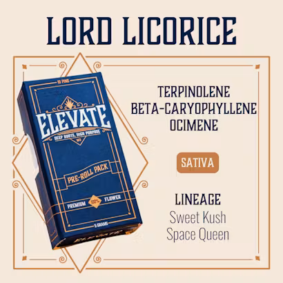 Photograph of product: Elevate Lord Licorice 10pk Prerolls (5g)
