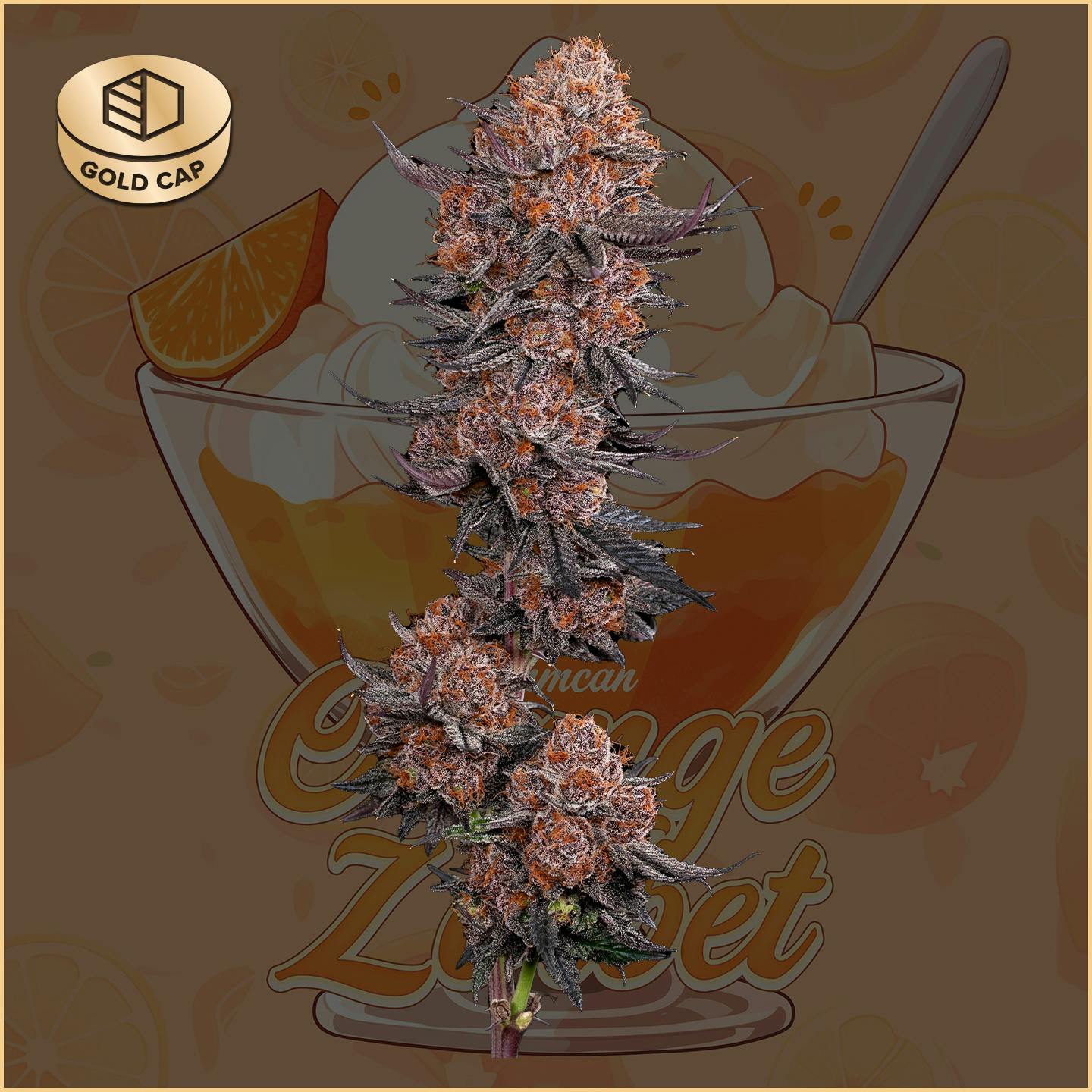 Photograph of product: Orange Zorbet