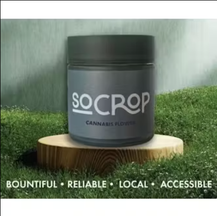 Photograph of product: SOAR | 3.5 | Purple Cookies | Oui'd - 3.5g