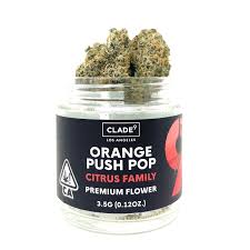 Photograph of product: 3.5g - Clade9 - Orange Push Pop - Flower