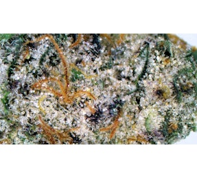 Photograph of Product: Grape Bubblegum - FLOWER - 7g